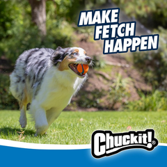 Chuckit Gen 1 Fetch Pack Dog Balls - Interactive Dog Toys, High-Bounce Fetch Ball, Floating Ultra and Rugged Balls, Durable - , 2.5-inch Diameter, Set of 3