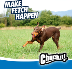 Chuckit! Ultra Ball Dog Toy -  For Dogs 60-100 lbs - Made from Durable Rubber - Super Bouncy - Floats in Water - 3-inch Diameter - Pack of 1
