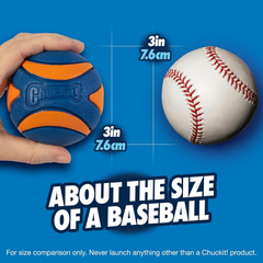 Chuckit! Ultra Squeaker Ball Dog Toy
