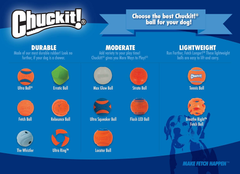 Chuckit! Dog Tennis Ball Dog Toy