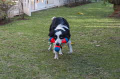 Chuckit! Amphibious Tri-Bumper Fetch Dog Toy, Black