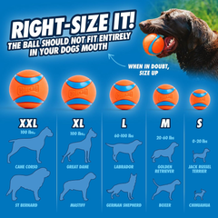 Chuckit! Sport 26L Dog Ball Launcher - Includes a 3-inch Diameter Large Ball for Dogs 60-100 Pounds - Manual Thrower for Dog Balls With a Slim Ergonomic Handle