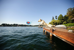 ChuckIt! Hydro Flyer Toy
