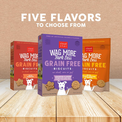 Cloud Star Wag More Bark Less Crunchy Grain Free Dog Treats, Peanut Butter & Apples