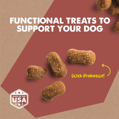 Cloud Star Dynamo Dog Tummy Treats – Soft & Chewy Probiotics Support for Dogs