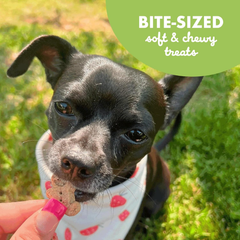 Buddy Biscuit Softies Pouch, Soft & Chewy, Natural Roasted Chicken Flavor Dog Treats, Oven Baked in the USA