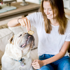 Cloud Star Wag More Bark Less - Dog Treats - Crunchy Biscuits - Grain Free Assorted Flavors
