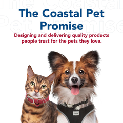 Coastal Pet Safari Dog Safety Scissors for Trimming Hair Around Eyes, Ears & Paws of All Dog Breeds