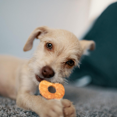Fieldcrest Farms  Nothin' to Hide Chicken Rings and Bones, 12 Count Each, Rawhide Alternative Dog Chews