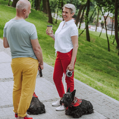 FLEXI® New Comfort Tape Retractable Dog Leash for Large Dogs Upto 110 lbs. – 26 ft., Nylon, Grey/Black| Tangle Free Pet Walking Leash with One-Handed Brake, Pause, Lock |German Quality Product