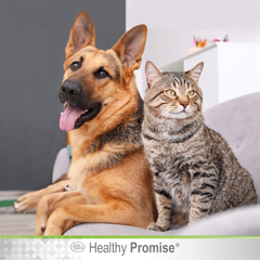 Four Paws Healthy Promise Quick Action Blood Stopper Styptic Gel for Dogs & Cats