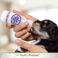 Four Paws Pet Nursing Feeding Bottle for Kittens & Puppies