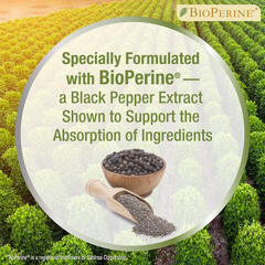 Four Paws Healthy Promise Calming Chews for Dogs