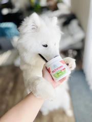 Four Paws Healthy Promise Dog Multivitamin Soft Chews