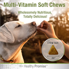Four Paws Healthy Promise Dog Multivitamin Soft Chews