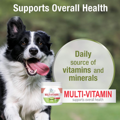 Four Paws Healthy Promise Dog Multivitamin Soft Chews
