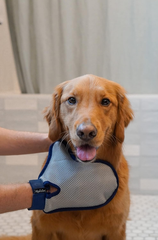 Four Paws Magic Coat Professional Series Comfort Tips Deluxe Dog Grooming Glove