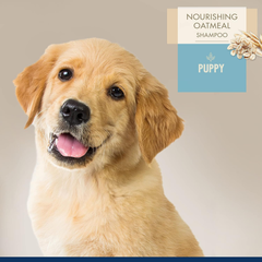 Magic Coat Professional Series Puppy Shampoo