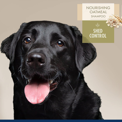 Four Paws Magic Coat Professional Series Nourishing Oatmeal De-Shedding Dog Shampoo