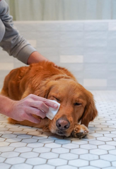 Four Paws Healthy Promise Grooming Pet Eye Cleaning Wipes for Dogs & Cats