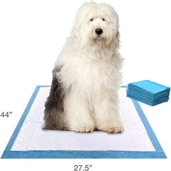 Four Paws Wee-Wee Superior Performance Gigantic Pee Pads for Extra Large Dogs, Leak-Proof Floor Protection Dog & Puppy Quilted Potty Training Pads, Unscented