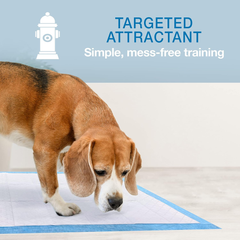 Four Paws Wee-Wee Super Absorbent Unscented Pee Pads for Dogs & Puppies with Insta-Rise Border, Leak-Proof Dog Housebreaking Potty Training Floor Protection