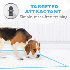 Four Paws Wee-Wee Silicone Pee Pad Holder for Dogs & Puppies, Washable Dog Housebreaking Potty Training Floor Protection