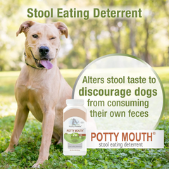 Four Paws Healthy Promise Potty Mouth Tablets - Coprophagia Stool Eating Deterrent for Dogs 90 count