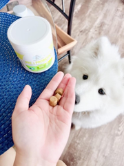 Four Paws Healthy Promise Pre and Probiotics for Dogs Soft Chews 90 count