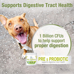 Four Paws Healthy Promise Pre and Probiotics for Dogs Soft Chews 90 count