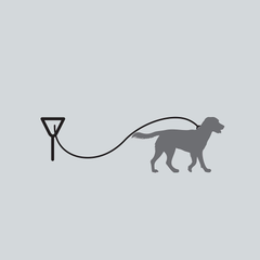 Four Paws Roam About Dog Tie-Out Stake Red