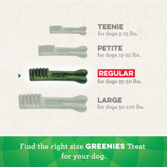 Greenies Regular Natural Dental Care Dog Treats Fresh Flavor