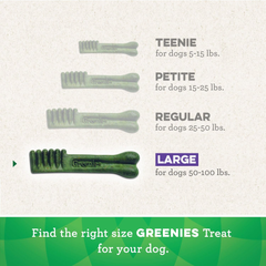 Greenies Large Natural Dental Care Dog Treats Blueberry Flavor