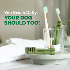 Greenies Original Teenie Natural Dental Care Dog Treats
