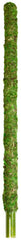 Galápagos Mossy Perch for Aquarium, 24", Fresh Green