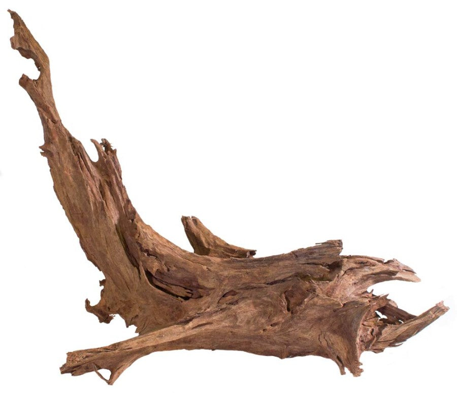 Galápagos Sinkable Driftwood Bed, Natural