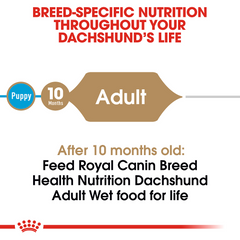 Royal Canin® Breed Health Nutrition® Dachshund Adult Loaf In Sauce Dog Food, 3 oz