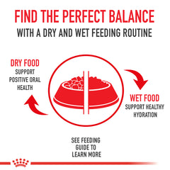 Royal Canin Appetite Control Spayed/Neutered Dry Adult Cat Food