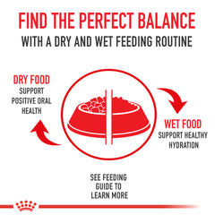 Royal Canin® Feline Health Nutrition™ Aging 12+ Thin Slices In Gravy Canned Cat Food, 3 oz