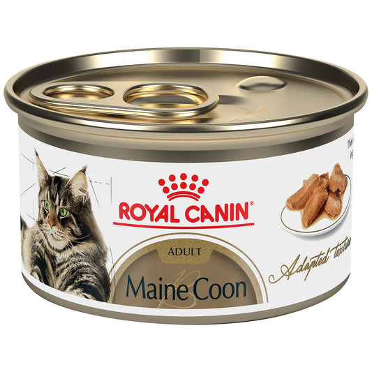 Royal Canin® Feline Breed Nutrition Maine Coon Adult Thin Slices in Gravy Canned Cat Food, 3 oz