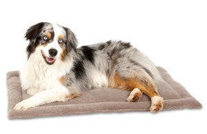 Petmate Aspen Pet Rectangular Kennel Mat