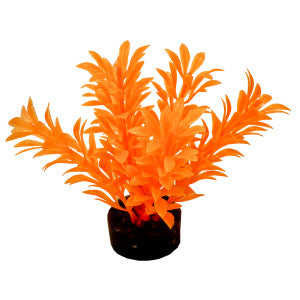 Blue Ribbon Pet Products Colorburst Florals Exotic Mini Plant