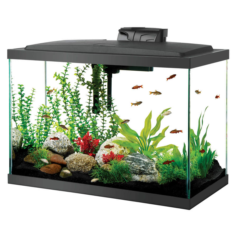 Aqueon Glass Aquarium Fish Tank Starter Kit with LED Lighting