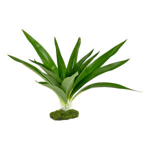 Blue Ribbon Pet Products Exotic Environments Aquarium Plants