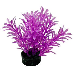 Blue Ribbon Pet Products Colorburst Florals Exotic Mini Plant