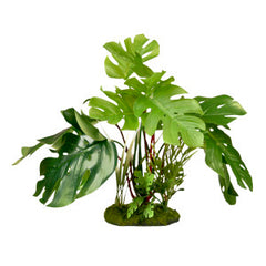 Blue Ribbon Pet Products Exotic Environments Aquarium Plants