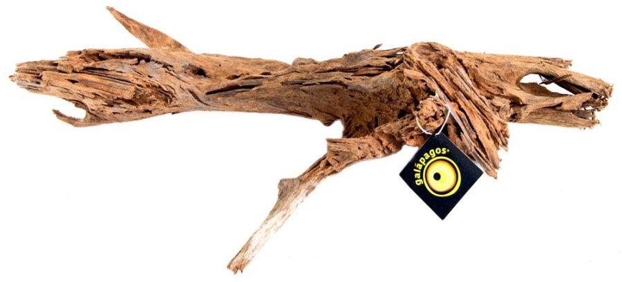 Galápagos Sinkable Driftwood Bed, Natural