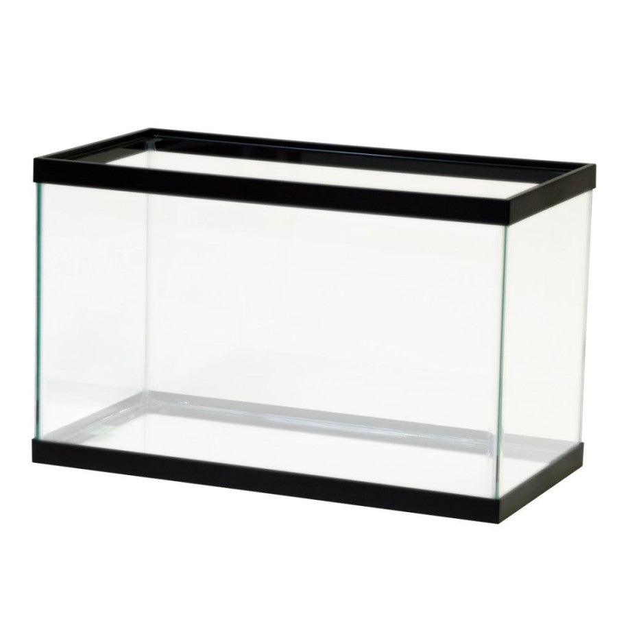 Aqueon Standard Glass Rectangle Aquarium Clear Silicone, Black