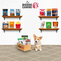 Big Dog Canine Box for Small Dogs – New Surprise of Premium Treats & Toys Every Time You Order