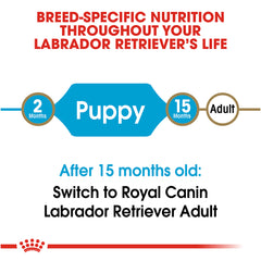 Royal Canin® Breed Health Nutrition® Labrador Retriever Puppy Dry Dog Food, 30 lb